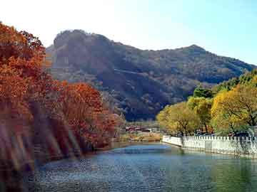 澳门二四六天天彩图库，青鸟泛目录